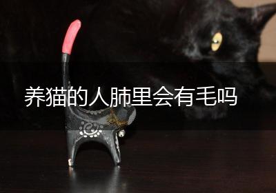 养猫的人肺里会有毛吗