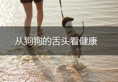 从狗狗的舌头看健康
