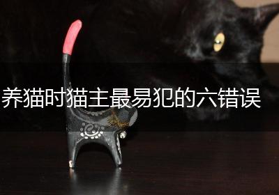 养猫时猫主最易犯的六错误