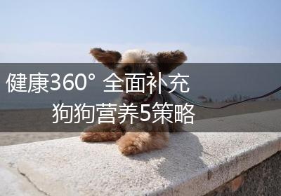 健康360° 全面补充狗狗营养5策略