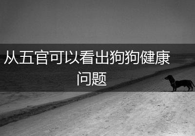 从五官可以看出狗狗健康问题