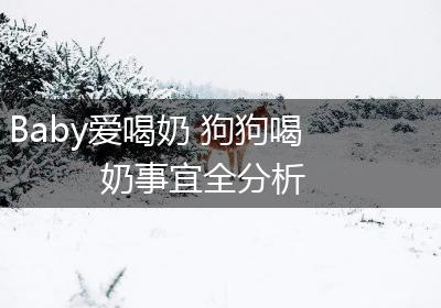 Baby爱喝奶 狗狗喝奶事宜全分析