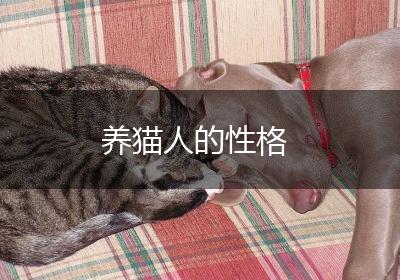 养猫人的性格