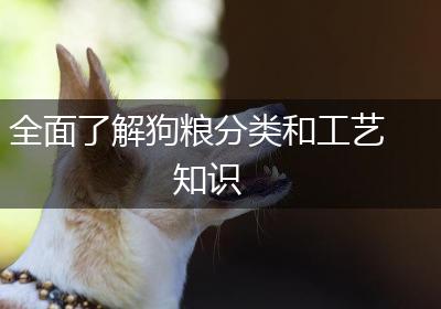 全面了解狗粮分类和工艺知识