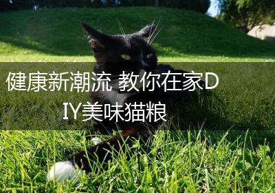 健康新潮流 教你在家DIY美味猫粮