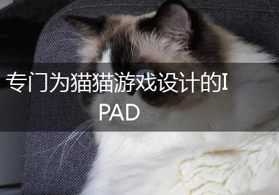 专门为猫猫游戏设计的IPAD