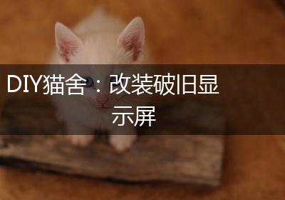 DIY猫舍：改装破旧显示屏