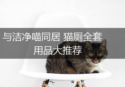 与洁净喵同居 猫厕全套用品大推荐