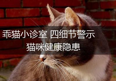 乖猫小诊室 四细节警示猫咪健康隐患