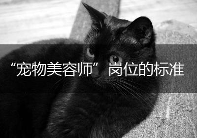 “宠物美容师”岗位的标准