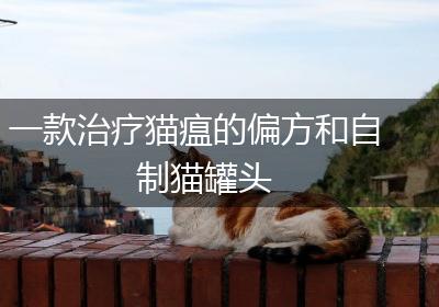 一款治疗猫瘟的偏方和自制猫罐头