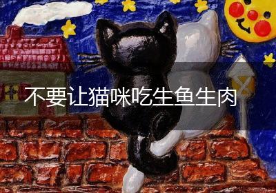 不要让猫咪吃生鱼生肉