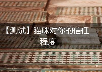 【测试】猫咪对你的信任程度