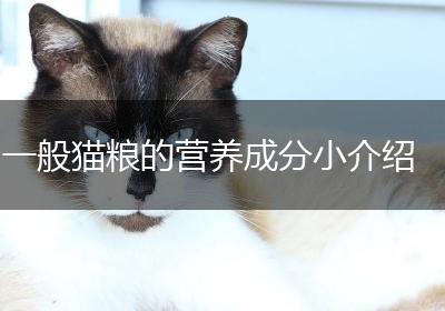 一般猫粮的营养成分小介绍