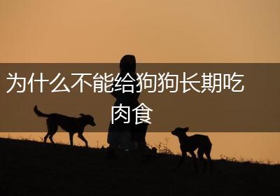 为什么不能给狗狗长期吃肉食