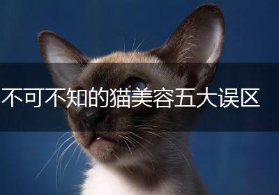 不可不知的猫美容五大误区