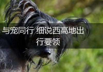 与宠同行 细说西高地出行要领