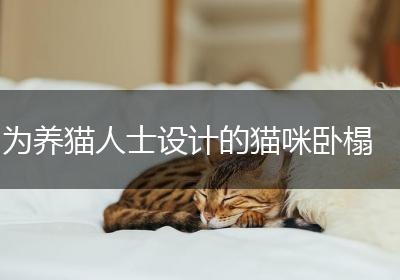 为养猫人士设计的猫咪卧榻