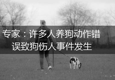专家：许多人养狗动作错误致狗伤人事件发生