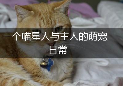 一个喵星人与主人的萌宠日常