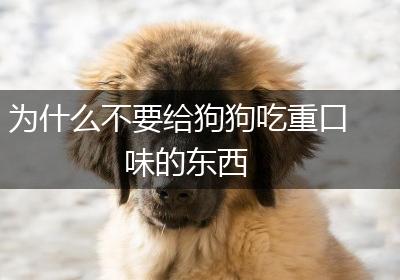 为什么不要给狗狗吃重口味的东西