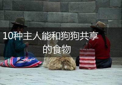 10种主人能和狗狗共享的食物