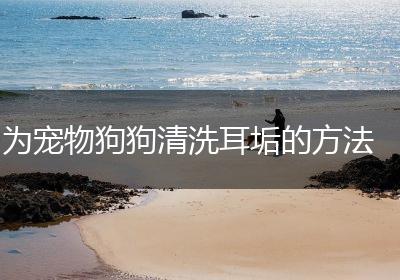 为宠物狗狗清洗耳垢的方法