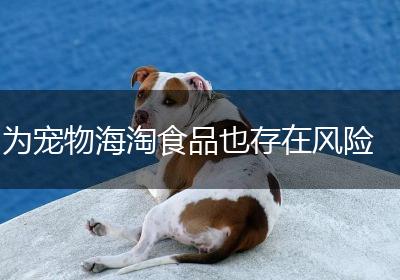 为宠物海淘食品也存在风险