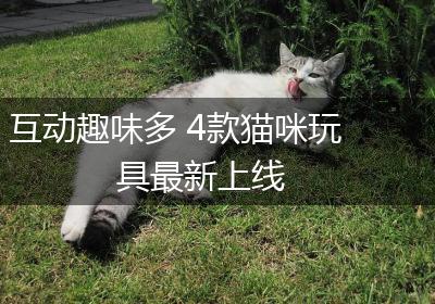 互动趣味多 4款猫咪玩具最新上线