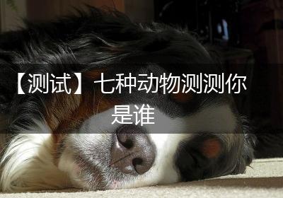 【测试】七种动物测测你是谁