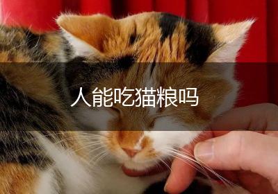人能吃猫粮吗