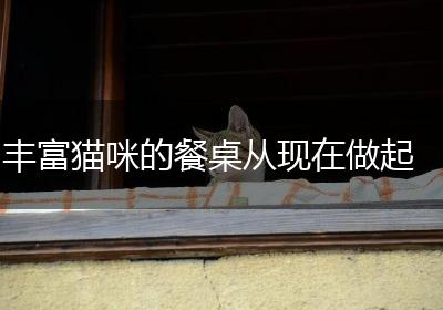 丰富猫咪的餐桌从现在做起