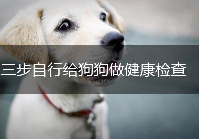三步自行给狗狗做健康检查