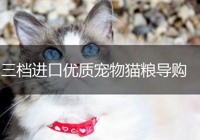 三档进口优质宠物猫粮导购