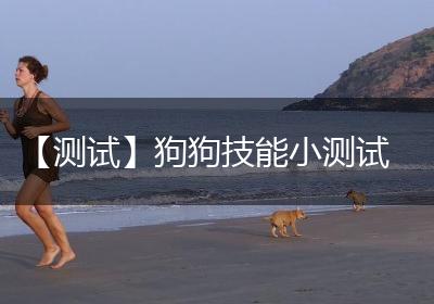 【测试】狗狗技能小测试