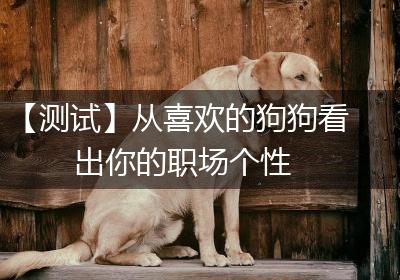 【测试】从喜欢的狗狗看出你的职场个性