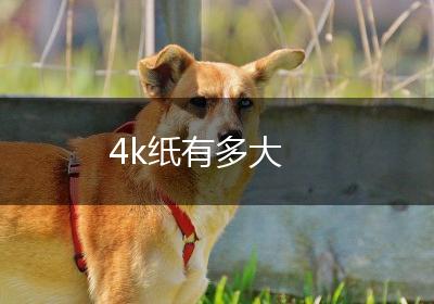 4k纸有多大