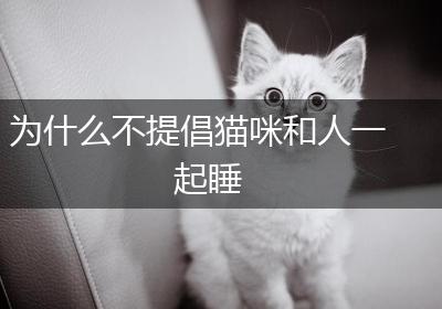 为什么不提倡猫咪和人一起睡