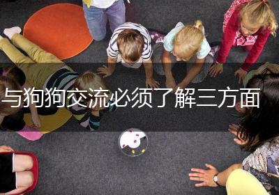 与狗狗交流必须了解三方面