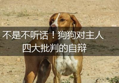 不是不听话！狗狗对主人四大批判的自辩