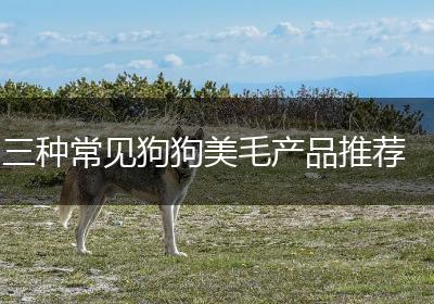 三种常见狗狗美毛产品推荐
