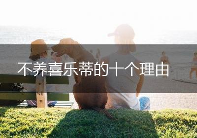 不养喜乐蒂的十个理由
