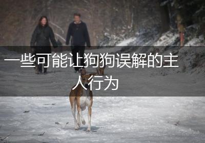 一些可能让狗狗误解的主人行为