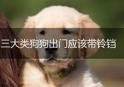 三大类狗狗出门应该带铃铛