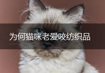 为何猫咪老爱咬纺织品