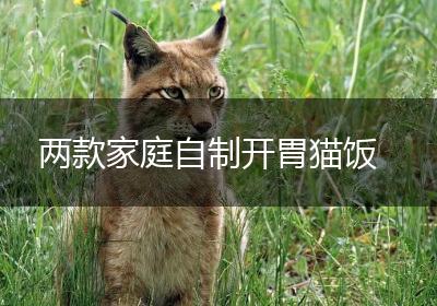两款家庭自制开胃猫饭