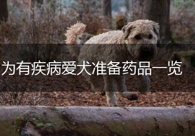 为有疾病爱犬准备药品一览