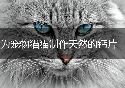 为宠物猫猫制作天然的钙片