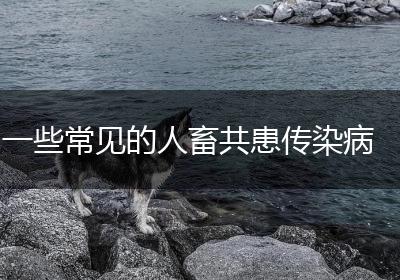 一些常见的人畜共患传染病