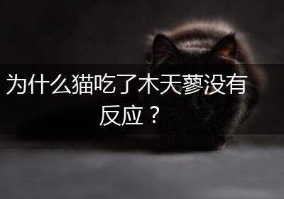 为什么猫吃了木天蓼没有反应？